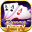 rummy 91 all game icon